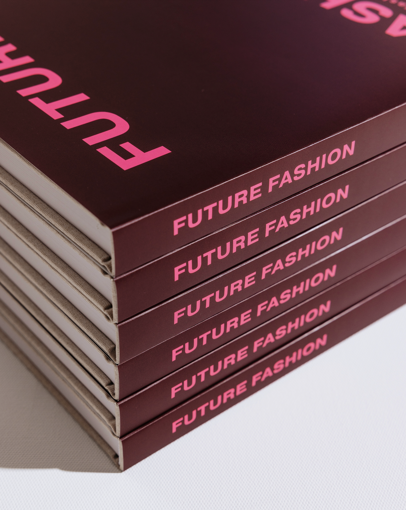 FUTURE FASHION BOOK - LIZ SUNSHINE