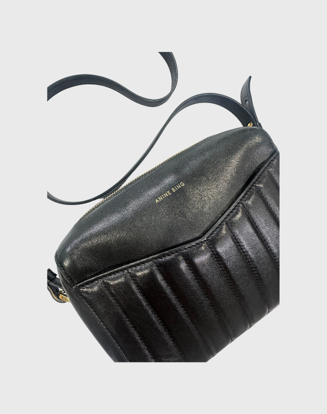 ANINE BING ELLIS BAG