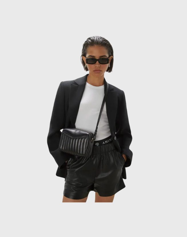 ANINE BING ELLIS BAG